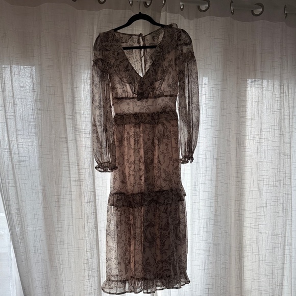 Fransesca’s Dresses & Skirts - Chic Long Sleeve Sheer Dress
